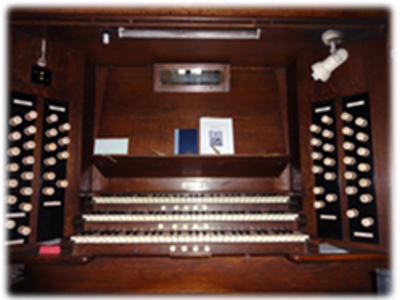 Organ Picture2
